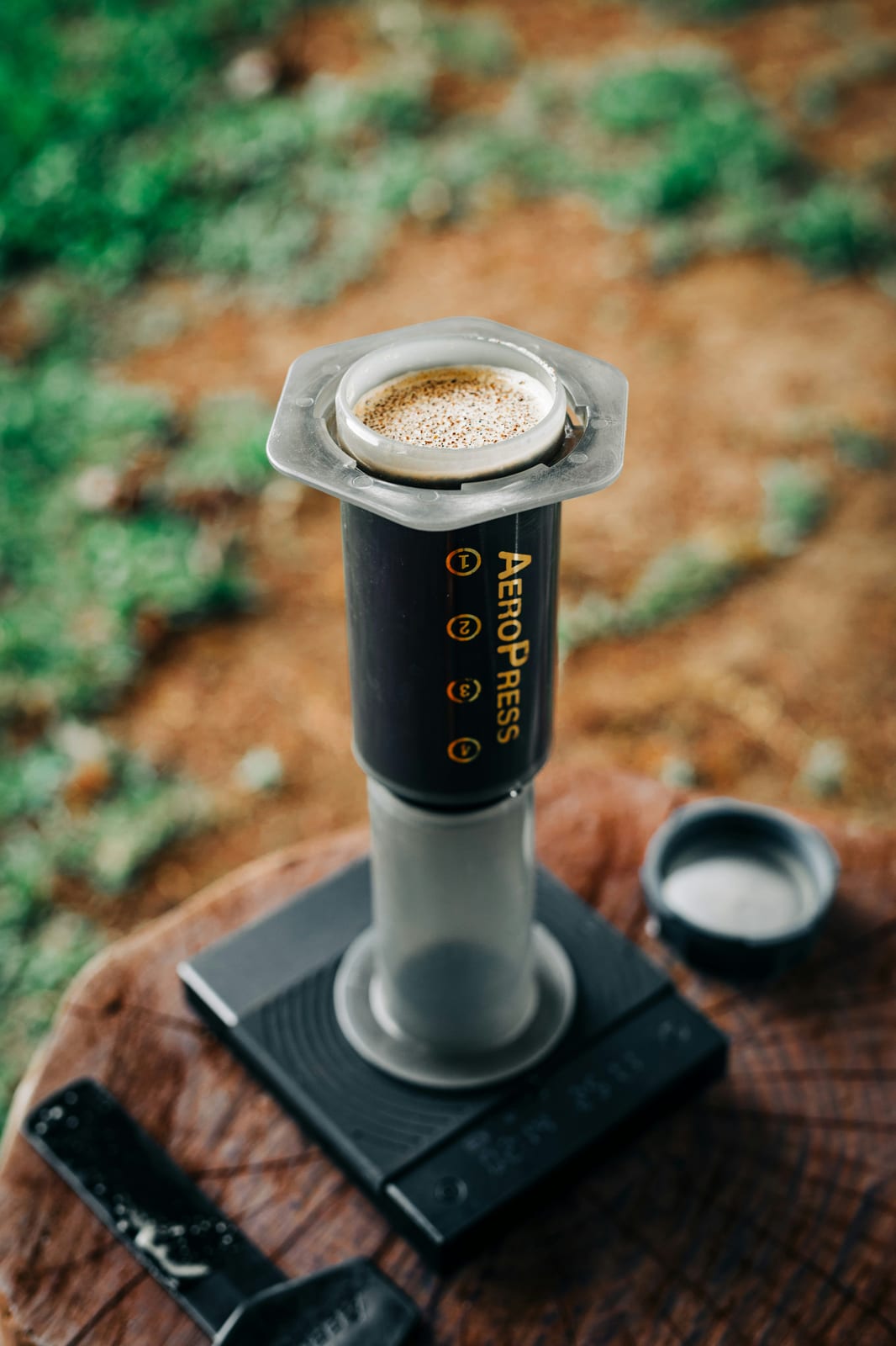 An AeroPress standing on a black scale on a tree stump outdoors, a bed of wet coffee grounds visible in the top of the chamber